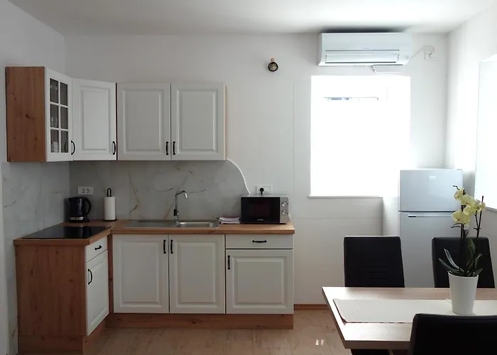 公寓 Apartmaji Pri Fijakarju - 