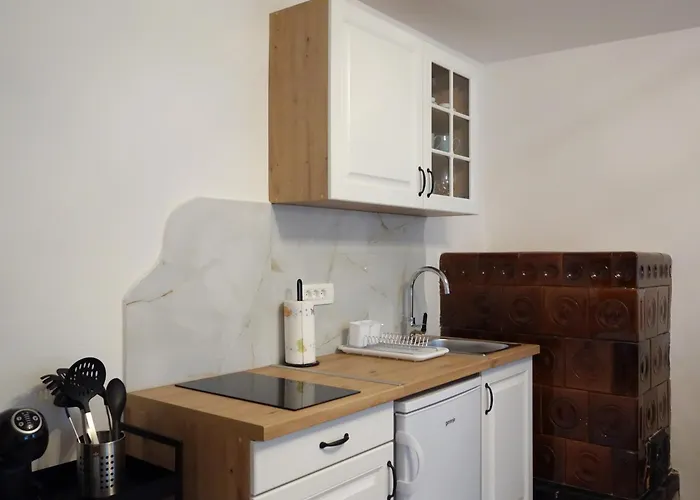 公寓 Apartmaji Pri Fijakarju - 